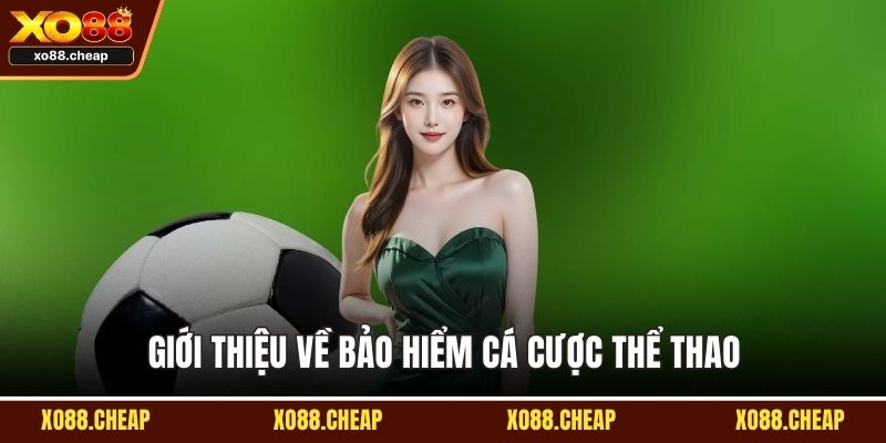 Bảo hiểm cá cược thể thao Giới thiệu về bảo hiểm cá cược thể thao